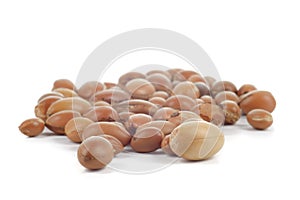 Group of argan nuts on white background.