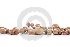 Group of argan nuts on a white background.