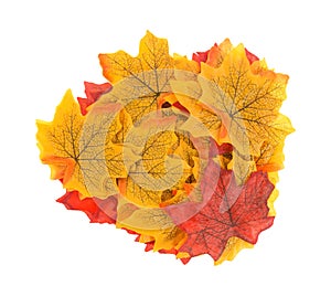 Group of artificial fall leaves on a white background.