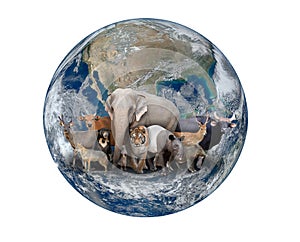 Group of asia animal with planet earth