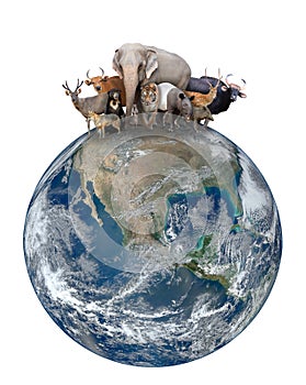 Group of asia animal with planet earth