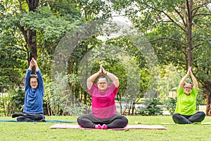 Group of asian young friends with down syndrome or autism doing yoga outdoors