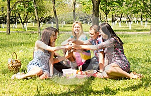 A group of attractive young friends on picnic