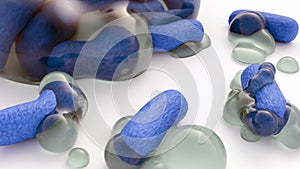 Group of bacteria inside of extracellular polymeric substance forms the biofilm