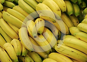 Group of bananas photo