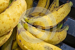 Group of Bananas yellow for sale