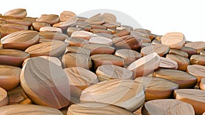 group of barley nuts isolated in the white background