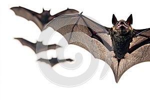 A group of bats flying through the air at night