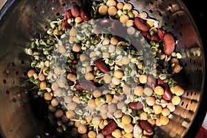 Group of beans. Collection of legumes  green peas, green mung beans, Red Kidney, Dry peas in a bowl.