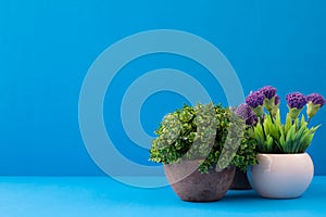 Group of beautiful flower on blue background