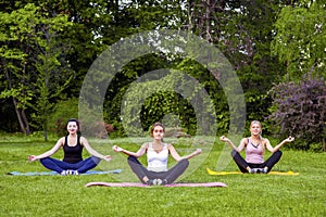 Group of beautiful healthy slimy young women doing exersices on the green grass in the park, siting in lotus poses and meditation