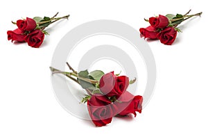 A group of beautiful red roses on a white background