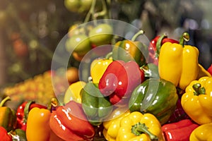 Group bell pepper background in Fram.. healthy concept photo