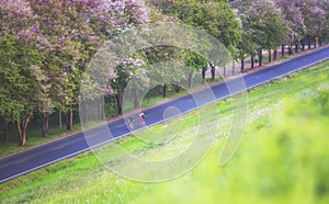 Group of bicycles on the mountain