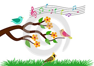 Group of Bird Singing on Tree Image Vector