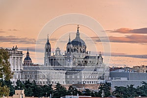 Group of birds flying over Madrid skyline at Sunset. Almudena cathedral and Royal Palace.