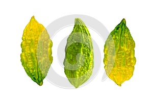 Group of Bitter Melon or mad cucumber vegetables. Objects isolated on white background