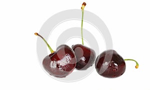 Group of black fresh cherry