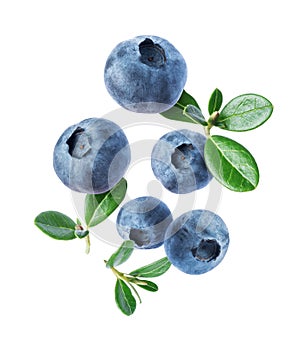 Group of blueberries with leaves close up in the air isolated on a white background