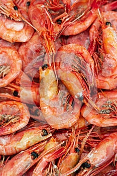 Group of boiled frozen wild shrimp with caviar cooked in sea water. Background of lot small aquatic crustaceans. Prawn -