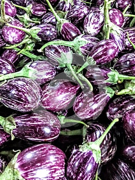 Group of brijal vegitables