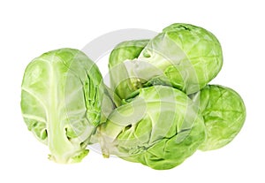 Group of brussel sprouts isolated on white background