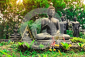 Group of buddha statues sitting and standing in forest.