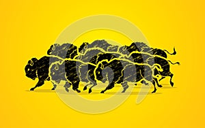 Group of buffalo running