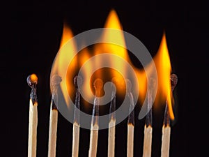 Group of burn and unburned matches, isolated on black background