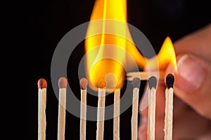 Group of burn and unburned matches, on black background