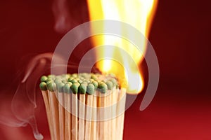 Group of burning matchsticks on background, closeup