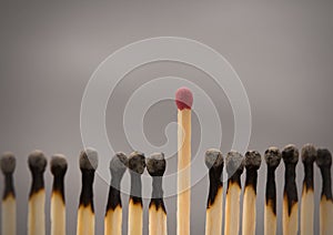 Group of burnt matches with one unused matchstick