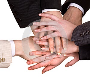 Group of business people hand.