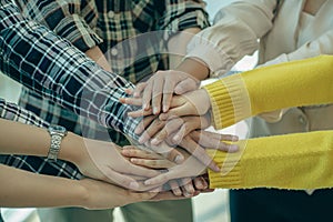 A group of business people shaking hands in the creative office, a young team coordinates and shakes hands, cooperation, teamwork