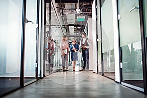 Group of business people walking in an office building, talking.