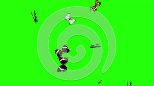 Group of butterflies flying on green screen, environment nature animation