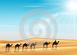 Group of Camels Caravan Riding