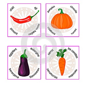Group of cards with vegetables photo