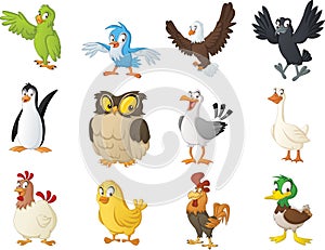 Group of cartoon birds. Vector illustration of funny happy animals. photo