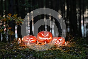 a group of carved pumpkins perched on top of a mound at the edge of a forest