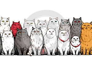 Group of cats with different emotions,  illustration on white background