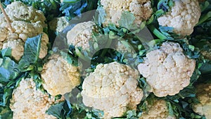 Group of cauliflowers with green leaves, Healthy food. Vegetable natural background
