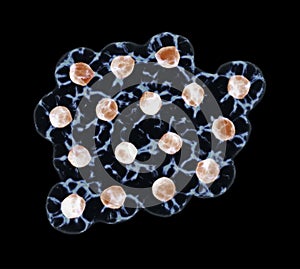 Group Of Cells isolated On Black Background
