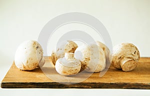 Group of Champignons Mushroom, selective focus