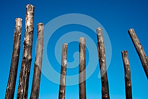 Group of charred wooden poles