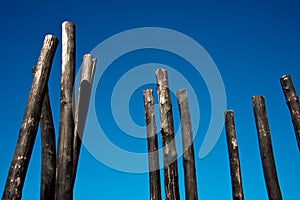 Group of charred wooden poles