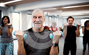 Group of cheerful seniors in gym doing exercise with dumbbells.