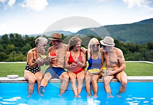 Group of cheerful seniors sitting by swimming pool outdoors in backyard.