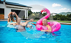 Group of cheerful seniors in swimming pool outdoors in backyard, talking.