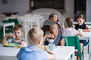 A group of cheerful small school kids in canteen, eating lunch.